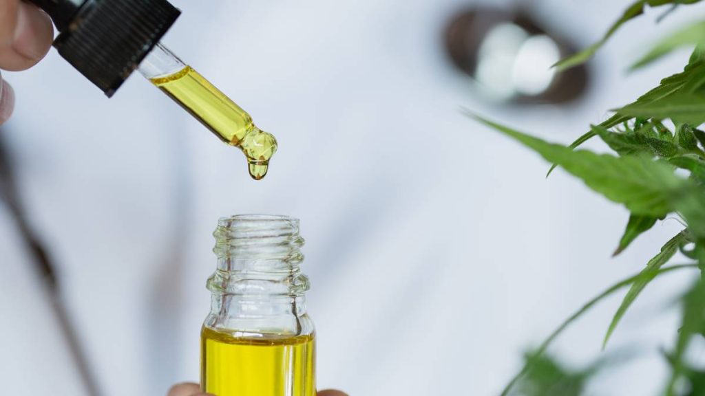 CBD olaj keresése telefonon vs. számítógépen: van különbség?